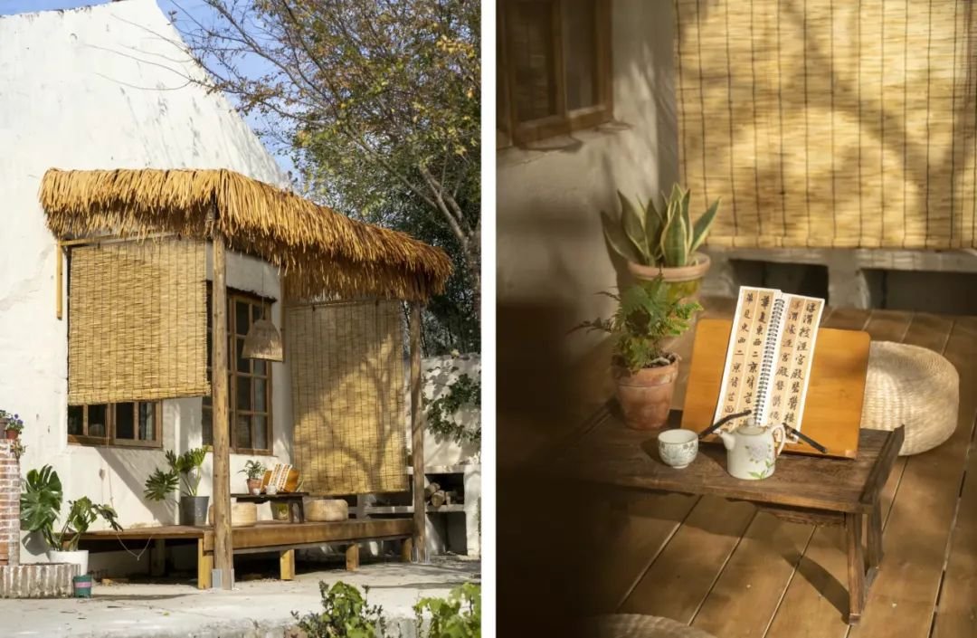 Giảm Chi phí sống: Thuê nhà nông thôn để tìm lại tự do tài chính - Ảnh 16.