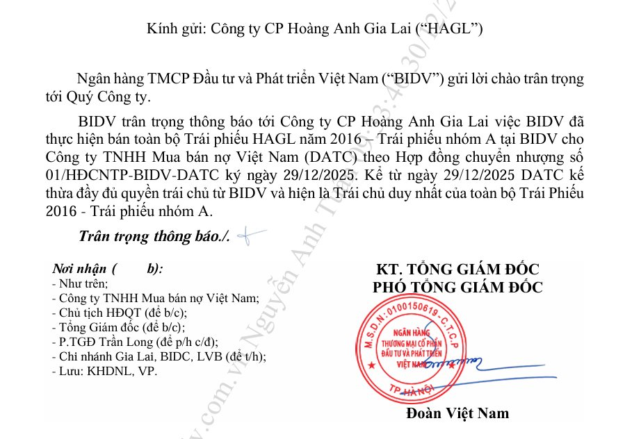 Công ty đặc biệt của bộ Tài chính trở thành chủ nợ lớn của Hoàng Anh Gia Lai - Ảnh 2. Công ty đặc biệt của bộ Tài chính trở thành chủ nợ lớn của Hoàng Anh Gia Lai - Ảnh 2.