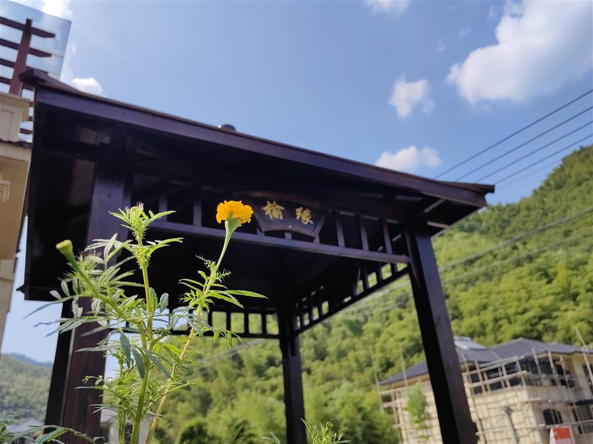 Mô hình dưỡng già tập thể của bà Thang: Cuộc sống độc lập và bầu bạn cho người cao tuổi - Ảnh 3. Mô hình dưỡng già tập thể của bà Thang: Cuộc sống độc lập và bầu bạn cho người cao tuổi - Ảnh 3.