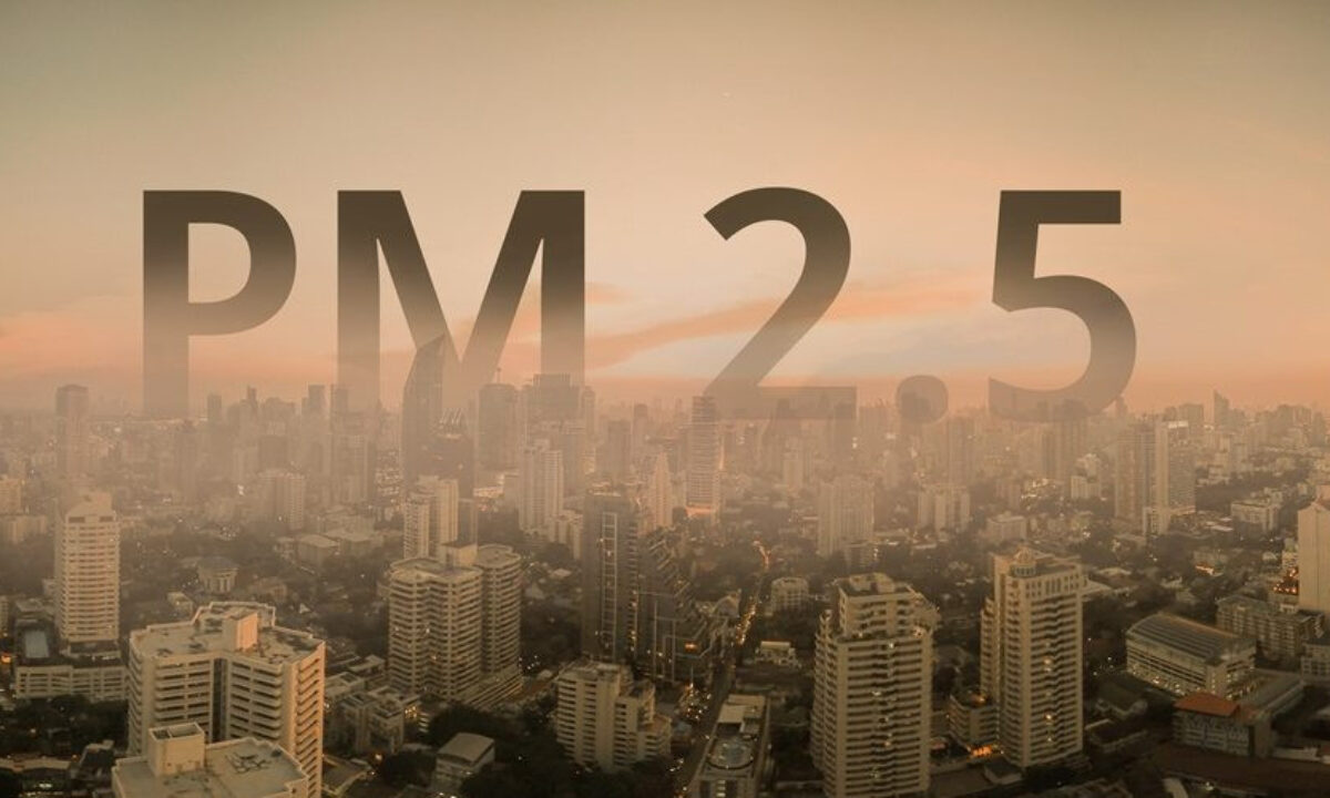 "Kẻ giết người thầm lặng" bụi mịn PM2.5: Nhỏ hơn sợi tóc 30 lần, xâm nhập sâu vào máu, khiến gần 6.000 người tử vong - Ảnh 3.