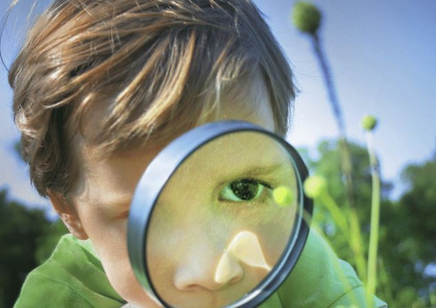 Bí mật từ nghiên cứu Harvard về thành công của trẻ em qua 4 đặc điểm quan trọng - Ảnh 2. Bí mật từ nghiên cứu Harvard về thành công của trẻ em qua 4 đặc điểm quan trọng - Ảnh 2.