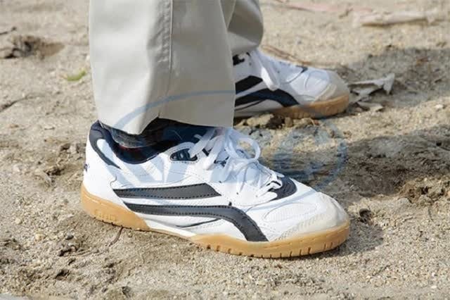 Cổ phiếu Giầy Thượng Đình tăng trần: Bí quyết thành công và triển vọng tương lai - Ảnh 1. Cổ phiếu Giầy Thượng Đình tăng trần: Bí quyết thành công và triển vọng tương lai - Ảnh 1.