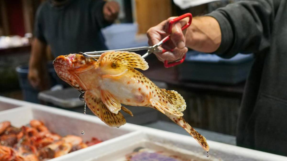 Chàng trai 25 tuổi mắc ung thư gan vì thói quen ăn hải sản của nhiều người- Ảnh 2. Chàng trai 25 tuổi mắc ung thư gan vì thói quen ăn hải sản của nhiều người- Ảnh 2.