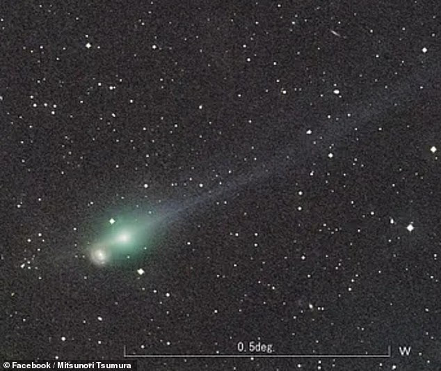 Lời tiên tri của Baba Vanga cho năm 2025: Sự kiện thể thao và ánh sáng mới trên bầu trời - Ảnh 2.