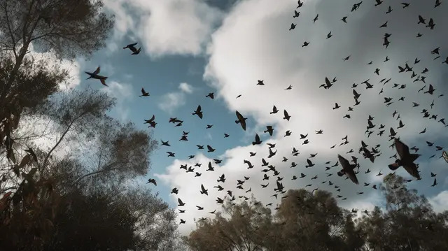 Khả năng dự báo thiên tai của 6 lòai vật kỳ lạ mà bạn chưa biết đến - Ảnh 5.