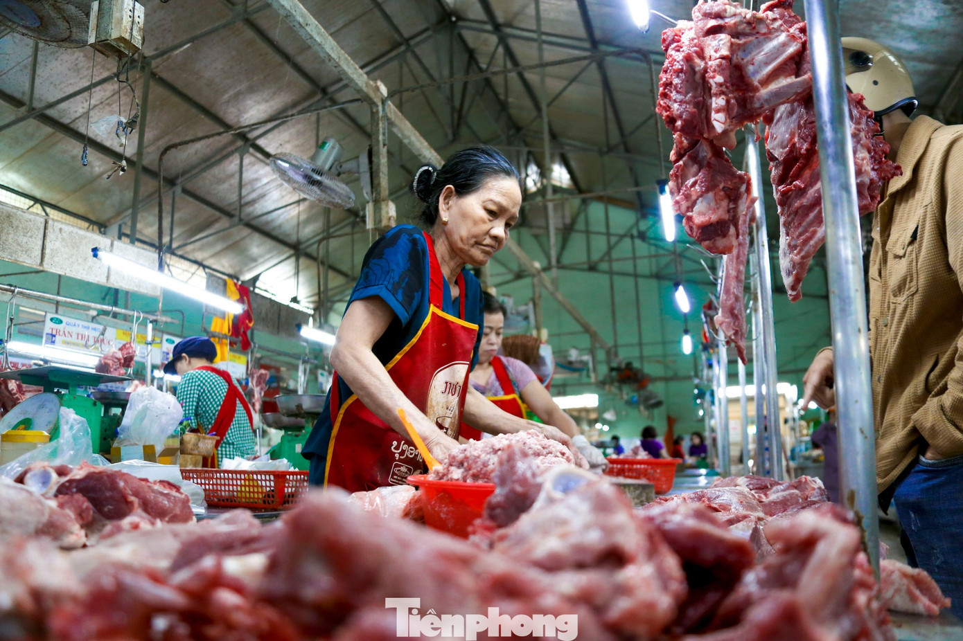 Dịch tả lợn châu Phi và tác động đến giá thịt lợn tại Việt Nam - Ảnh 1. Dịch tả lợn châu Phi và tác động đến giá thịt lợn tại Việt Nam - Ảnh 1.