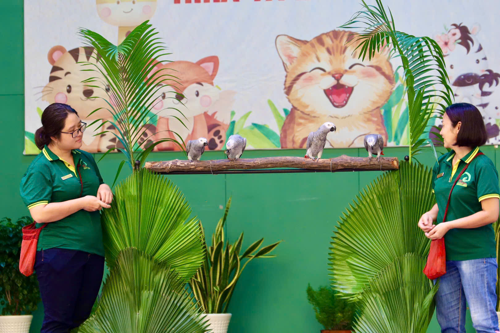 Thảo Cầm Viên: Áo mèo Mika được đấu giá 10 triệu, fan 3 thế hệ “chốt đơn” - Ảnh 9.