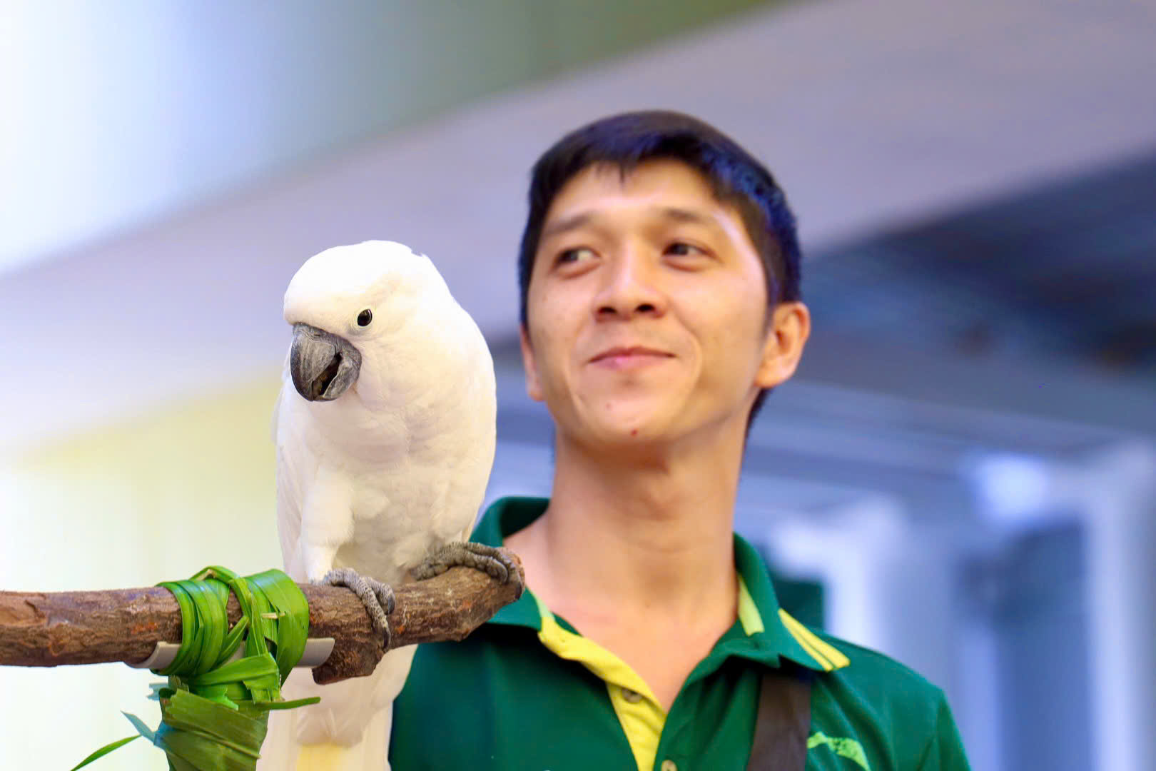 Thảo Cầm Viên: Áo mèo Mika được đấu giá 10 triệu, fan 3 thế hệ “chốt đơn” - Ảnh 8.