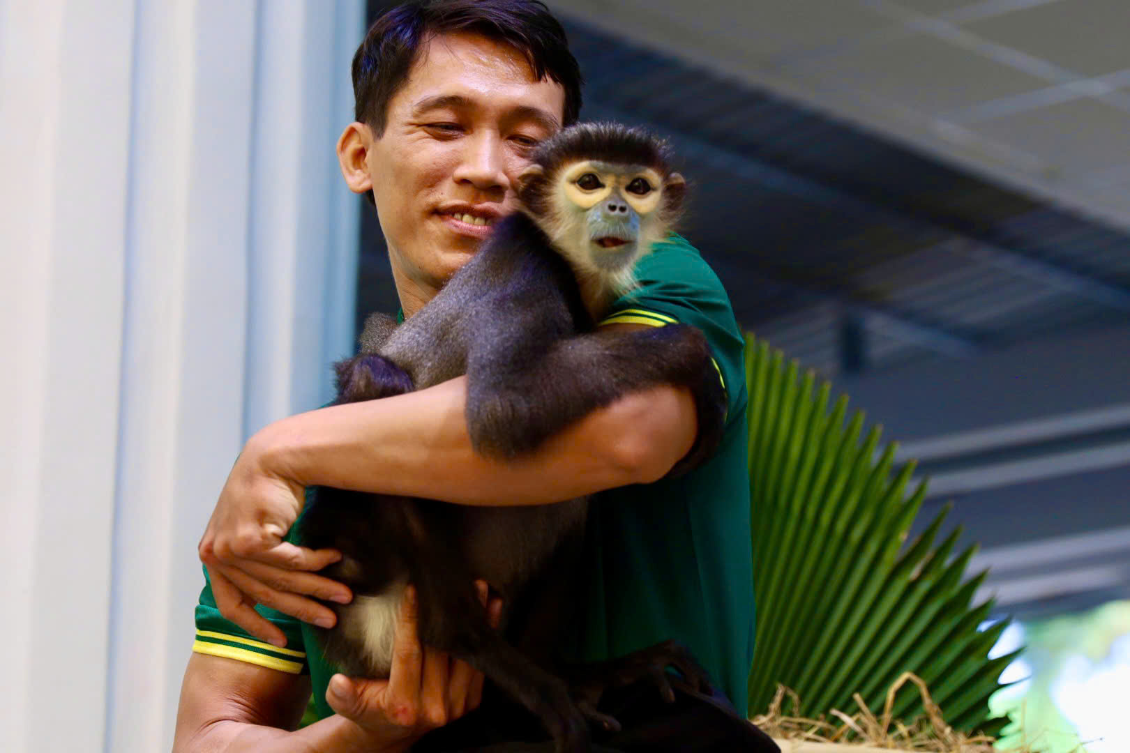 Thảo Cầm Viên: Áo mèo Mika được đấu giá 10 triệu, fan 3 thế hệ “chốt đơn” - Ảnh 7.