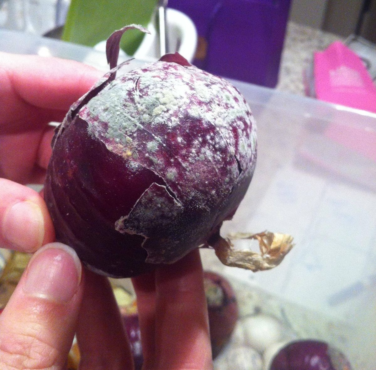 Cảnh báo 6 Thói quen gây ung thư mà Bạn vẫn nghĩ là sạch sẽ , tiết kiệm - Ảnh 1.