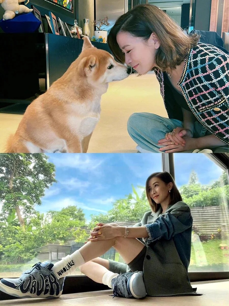 Bên trong căn hộ triệu đô của Xa Thi Mạn: Cuộc sống độc thân sang trọng tại Hong Kong - Ảnh 19. Bên trong căn hộ triệu đô của Xa Thi Mạn: Cuộc sống độc thân sang trọng tại Hong Kong - Ảnh 19.