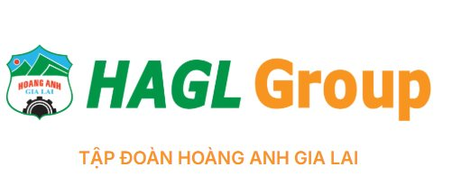 Bầu Đức lặng lẽ đổi logo Hoàng Anh Gia Lai khẳng định sự chuyển mình mới - Ảnh 2. Bầu Đức lặng lẽ đổi logo Hoàng Anh Gia Lai khẳng định sự chuyển mình mới - Ảnh 2.