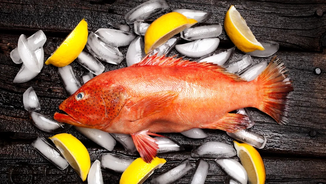 6 Lọai cá chứa thủy ngân nguy hiểm cần tránh để bảo vệ sức khỏe - Ảnh 4. 6 Lọai cá chứa thủy ngân nguy hiểm cần tránh để bảo vệ sức khỏe - Ảnh 4.