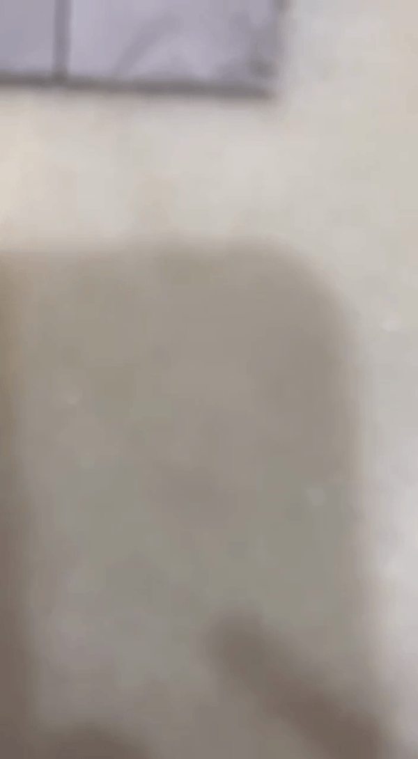 Bức ảnh Bức ảnh