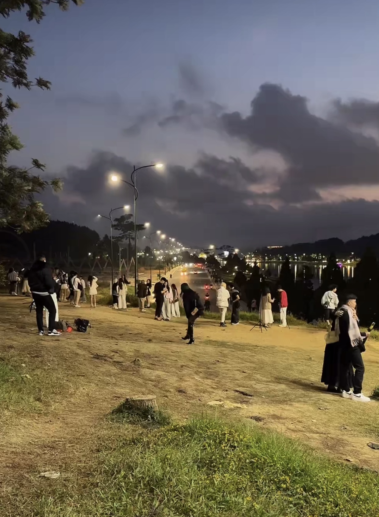 Địa điểm chụp ảnh miễn phí ở Đà Lạt bỗng trở thành hot trend TikTok, trời tối mịt vẫn đông nghịt người- Ảnh 7. Địa điểm chụp ảnh miễn phí ở Đà Lạt bỗng trở thành hot trend TikTok, trời tối mịt vẫn đông nghịt người- Ảnh 7.