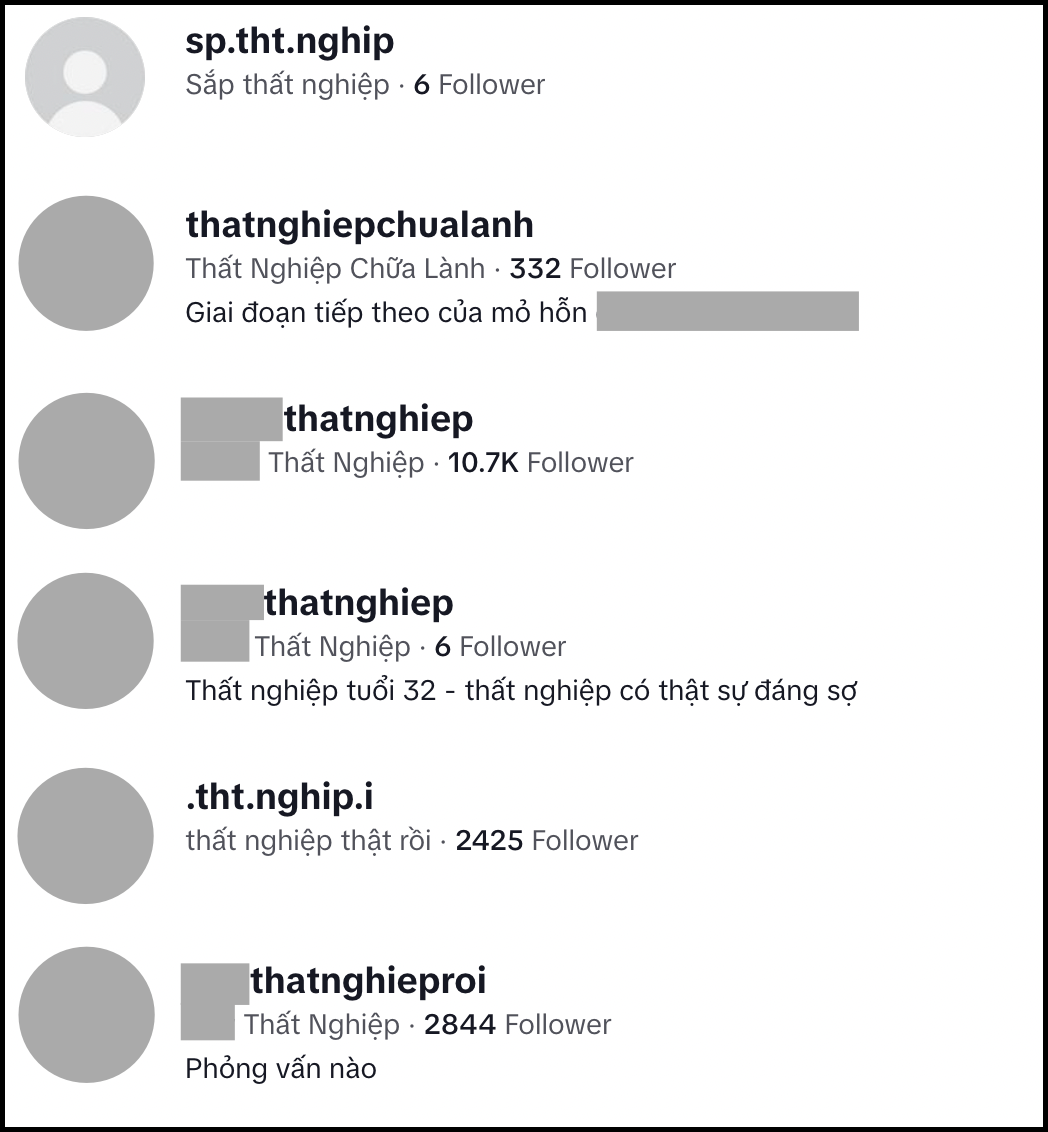 Làn sóng sa thải đầu năm 2025 vẫn chưa dừng lại: Hết thời khoe bảng lương 10 0 triệu, đến thời ước về quê với 300 công ruộng- Ảnh 2.