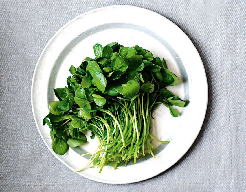 Mỹ đánh giá loại rau này là 'tốt nhất thế giới', Việt Nam trồng khắp nơi- Ảnh 1.