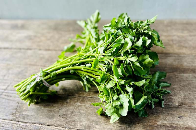 Mỹ đánh giá loại rau này là 'tốt nhất thế giới', Việt Nam trồng khắp nơi- Ảnh 2.