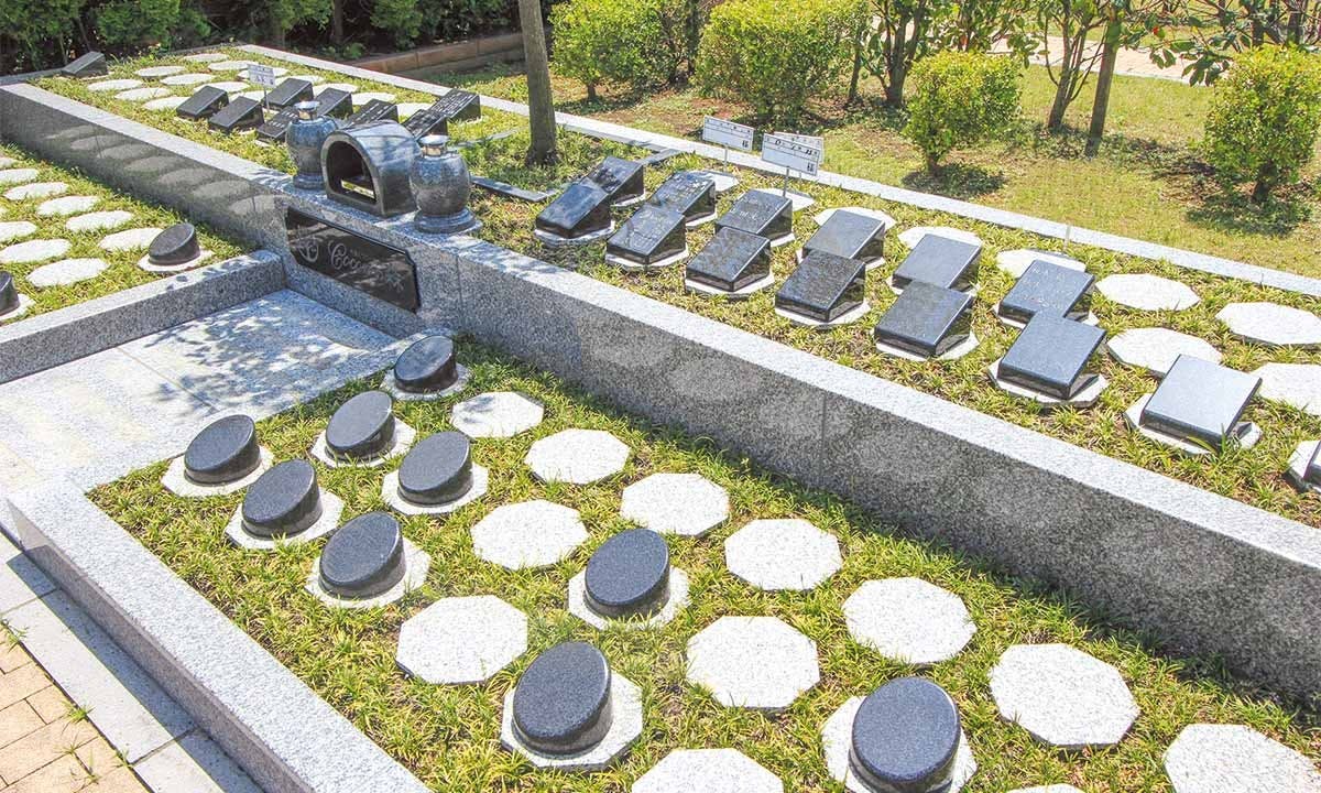 Mộc thụ táng - Hình thức chôn cất theo di nguyện của Từ Hy Viên được thực hiện như thế nào?- Ảnh 18. Mộc thụ táng - Hình thức chôn cất theo di nguyện của Từ Hy Viên được thực hiện như thế nào?- Ảnh 18.