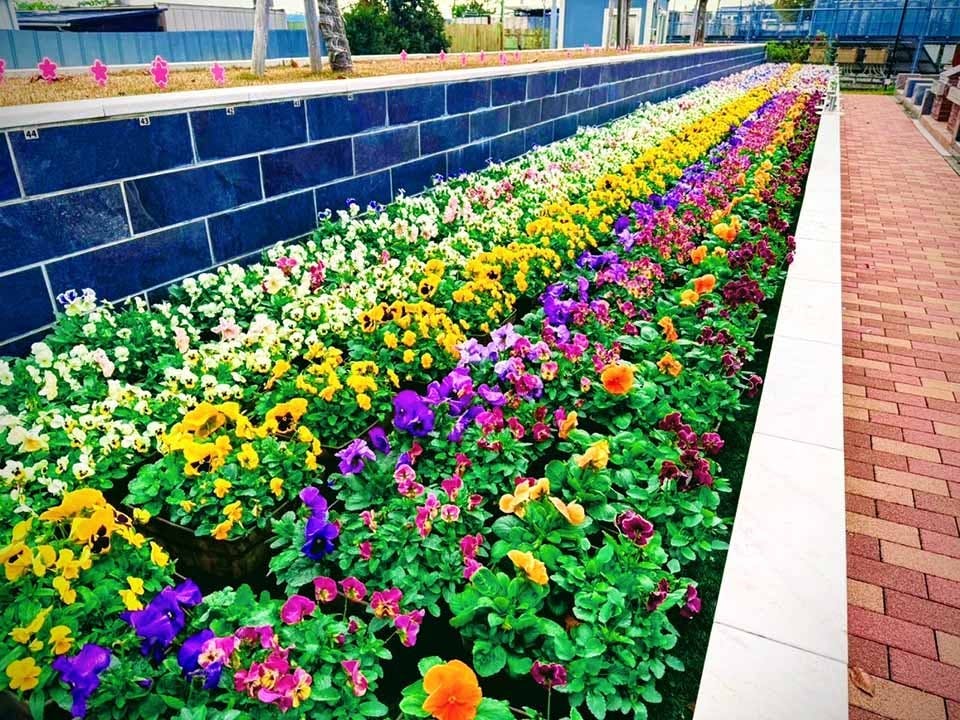Mộc thụ táng - Hình thức chôn cất theo di nguyện của Từ Hy Viên được thực hiện như thế nào?- Ảnh 9. Mộc thụ táng - Hình thức chôn cất theo di nguyện của Từ Hy Viên được thực hiện như thế nào?- Ảnh 9.