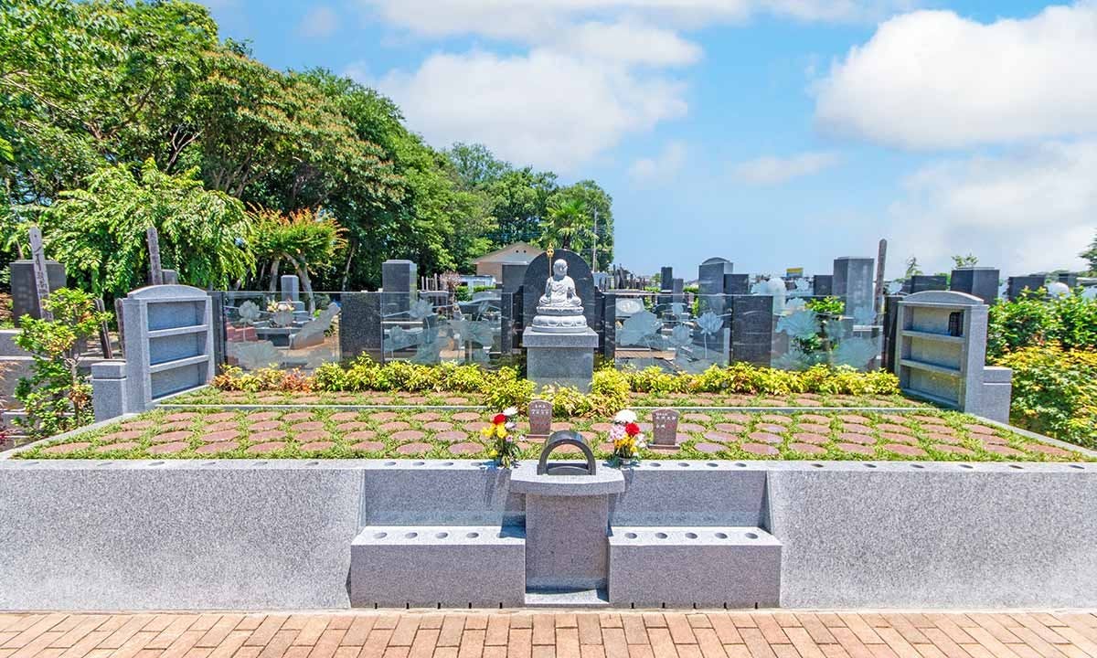 Mộc thụ táng - Hình thức chôn cất theo di nguyện của Từ Hy Viên được thực hiện như thế nào?- Ảnh 8. Mộc thụ táng - Hình thức chôn cất theo di nguyện của Từ Hy Viên được thực hiện như thế nào?- Ảnh 8.