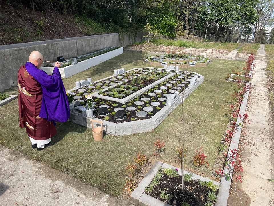 Mộc thụ táng - Hình thức chôn cất theo di nguyện của Từ Hy Viên được thực hiện như thế nào?- Ảnh 5. Mộc thụ táng - Hình thức chôn cất theo di nguyện của Từ Hy Viên được thực hiện như thế nào?- Ảnh 5.