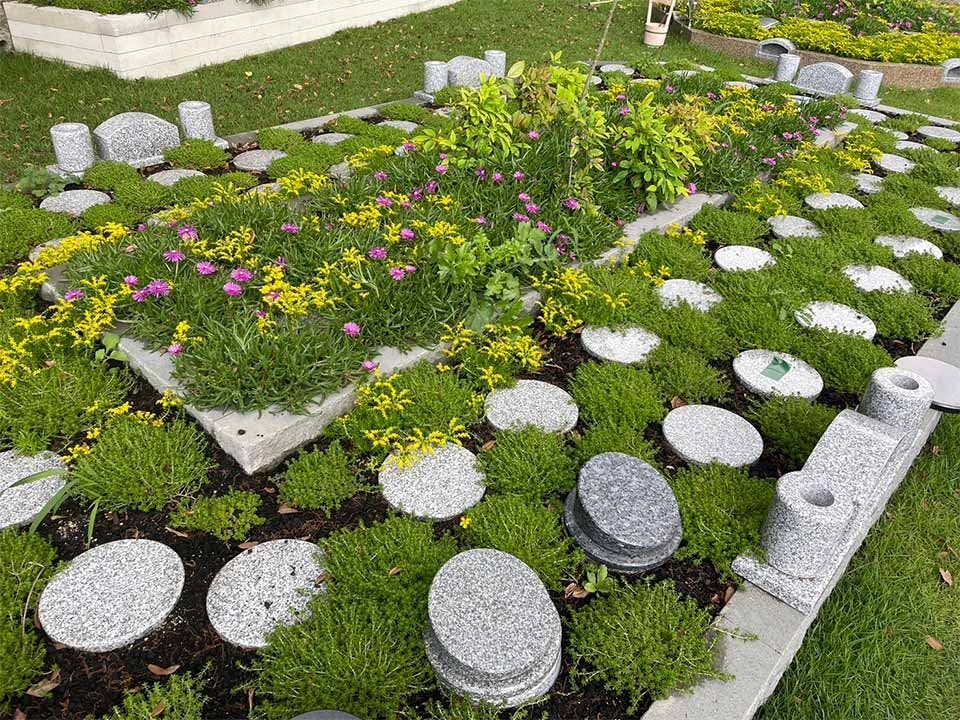 Mộc thụ táng - Hình thức chôn cất theo di nguyện của Từ Hy Viên được thực hiện như thế nào?- Ảnh 4. Mộc thụ táng - Hình thức chôn cất theo di nguyện của Từ Hy Viên được thực hiện như thế nào?- Ảnh 4.