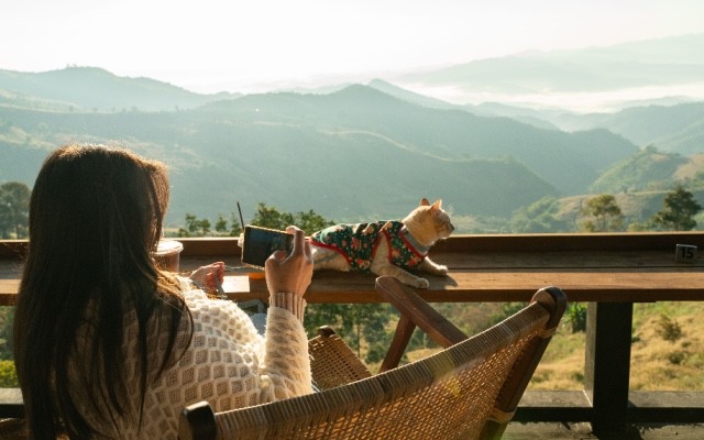 Việt Nam khẳng định vị thế "thiên đường pet-friendly" khi 4 thành phố lọt top 10 điểm đến thân thiện với thú cưng nhất châu Á 2025- Ảnh 1. Việt Nam khẳng định vị thế "thiên đường pet-friendly" khi 4 thành phố lọt top 10 điểm đến thân thiện với thú cưng nhất châu Á 2025- Ảnh 1.