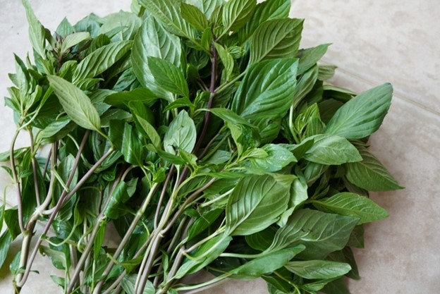 Việt Nam có "vua của các loại rau thơm", ăn vào bổ cho tim mạch, ngừa cả ung thư- Ảnh 1. Việt Nam có "vua của các loại rau thơm", ăn vào bổ cho tim mạch, ngừa cả ung thư- Ảnh 1.