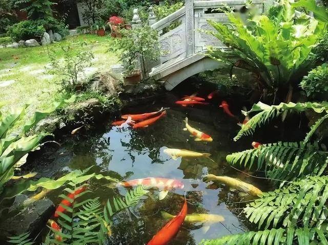 Biệt thự gần 2.000 tỷ của cố nữ sĩ Quỳnh Dao được hé lộ: Sân vườn rộng 600m2 cùng sân chơi bowling và rạp chiếu phim mini- Ảnh 6. Biệt thự gần 2.000 tỷ của cố nữ sĩ Quỳnh Dao được hé lộ: Sân vườn rộng 600m2 cùng sân chơi bowling và rạp chiếu phim mini- Ảnh 6.