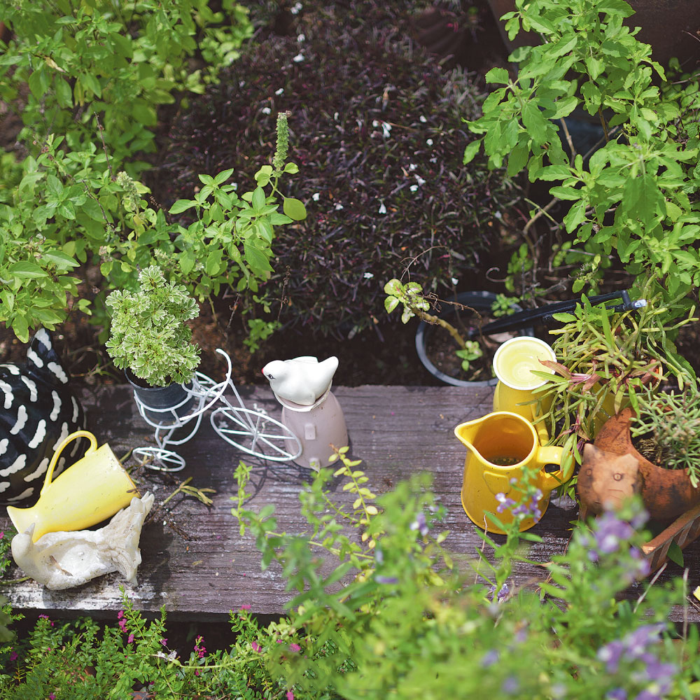 Khu vườn 44m2 của bà mẹ trung niên: Rau củ thứ nào cũng có, phong cách vintage ngọt ngào không thể chê- Ảnh 12.