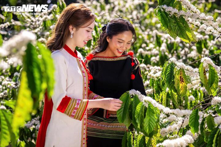 Lý do tiêu thụ cà phê ở Việt Nam chỉ bằng một nửa mức trung bình thế giới- Ảnh 2. Lý do tiêu thụ cà phê ở Việt Nam chỉ bằng một nửa mức trung bình thế giới- Ảnh 2.