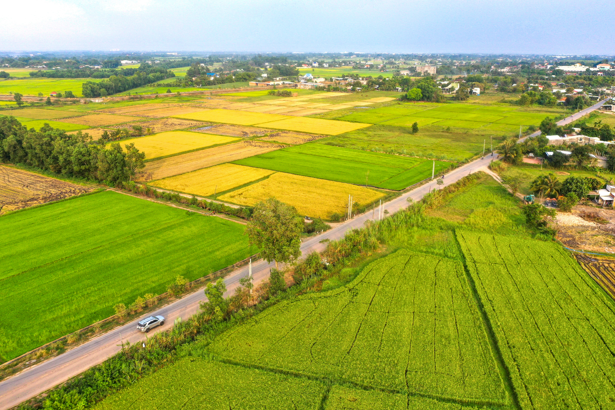 Toàn cảnh khu đất sắp được Vingroup đầu tư 3 tỷ USD, làm đại đô thị 81.000 dân ở Long An- Ảnh 4.