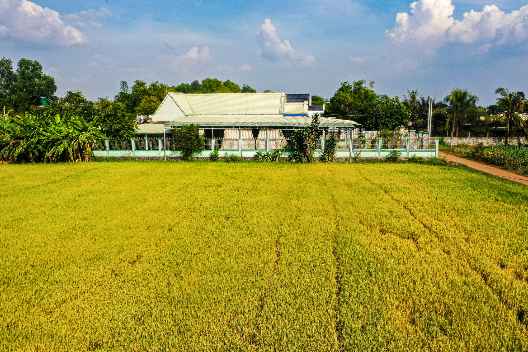 Toàn cảnh khu đất sắp được Vingroup đầu tư 3 tỷ USD, làm đại đô thị 81.000 dân ở Long An- Ảnh 5.