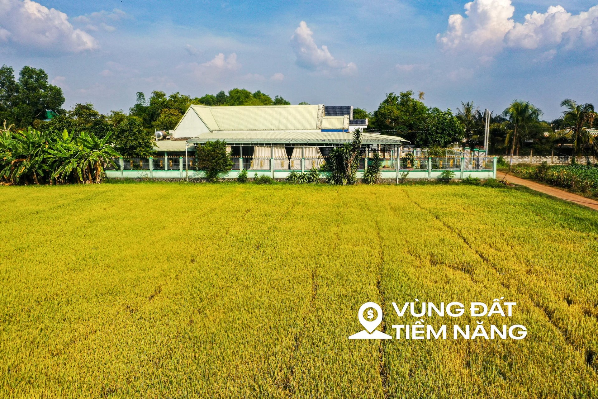 Toàn cảnh khu đất sắp được Vingroup đầu tư 3 tỷ USD, làm đại đô thị 81.000 dân ở Long An- Ảnh 1.