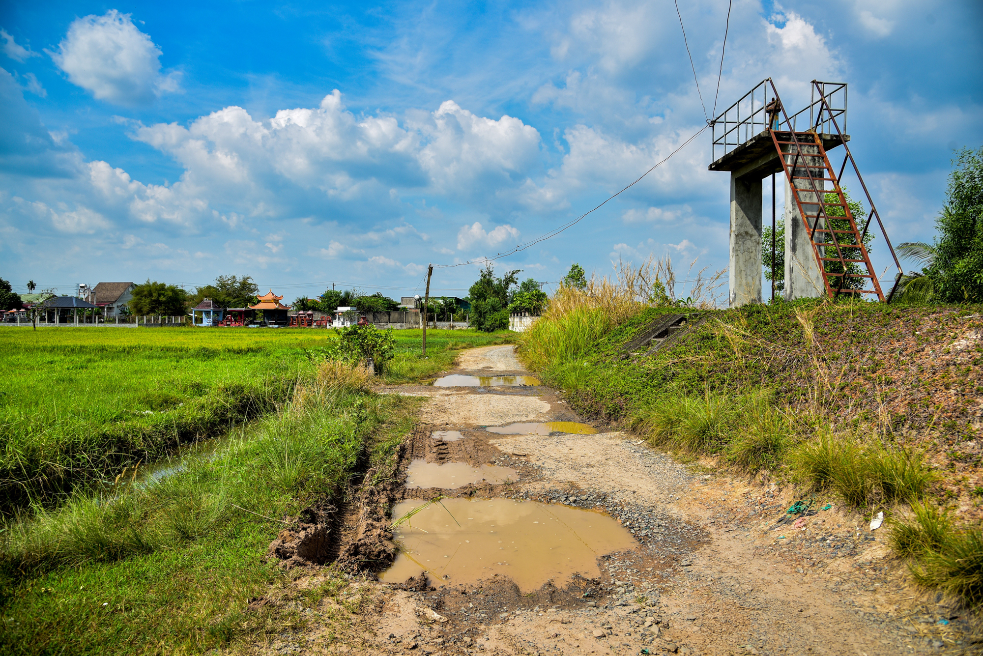Toàn cảnh khu đất sắp được Vingroup đầu tư 3 tỷ USD, làm đại đô thị 81.000 dân ở Long An- Ảnh 9.