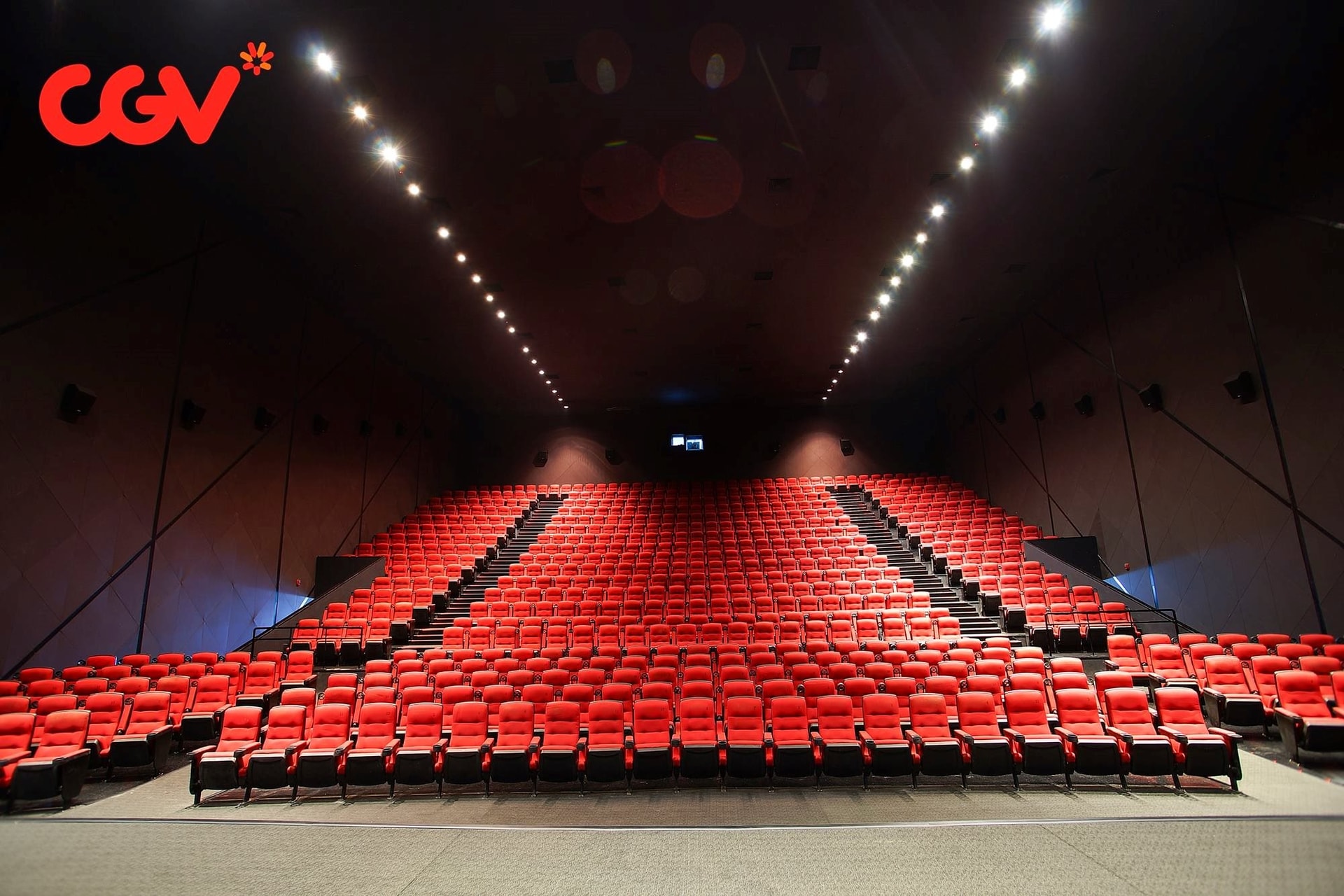 Bật mí cổ đông Việt đang nắm 20% CGV - chuỗi rạp phim thu bình quân hơn 10,5 tỷ đồng mỗi ngày- Ảnh 1.