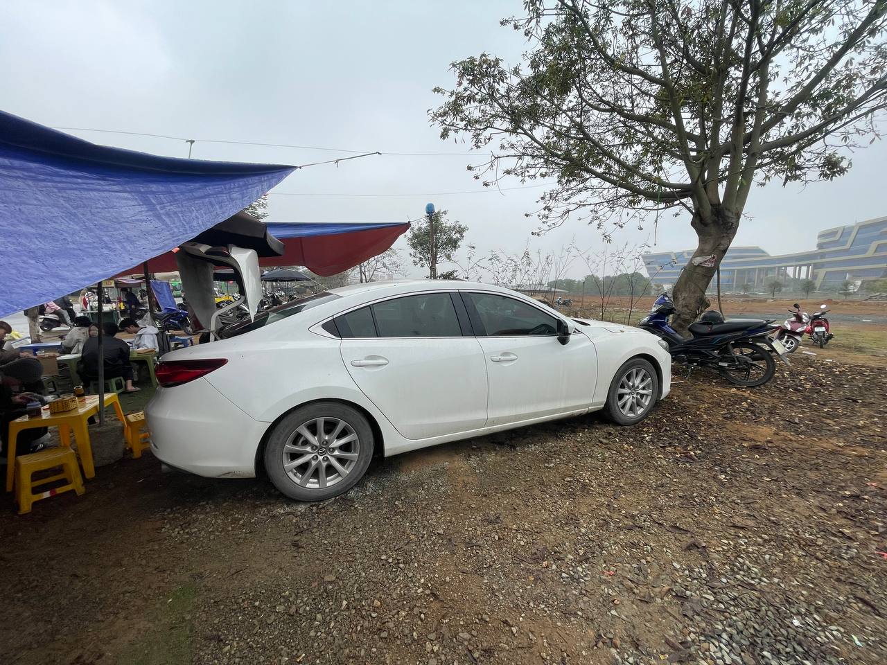 Người phụ nữ ở Hà Nội lái Mazda 6 đi bán xôi "vì đam mê", tiếp hơn 1.000 lượt khách mỗi ngày- Ảnh 4.