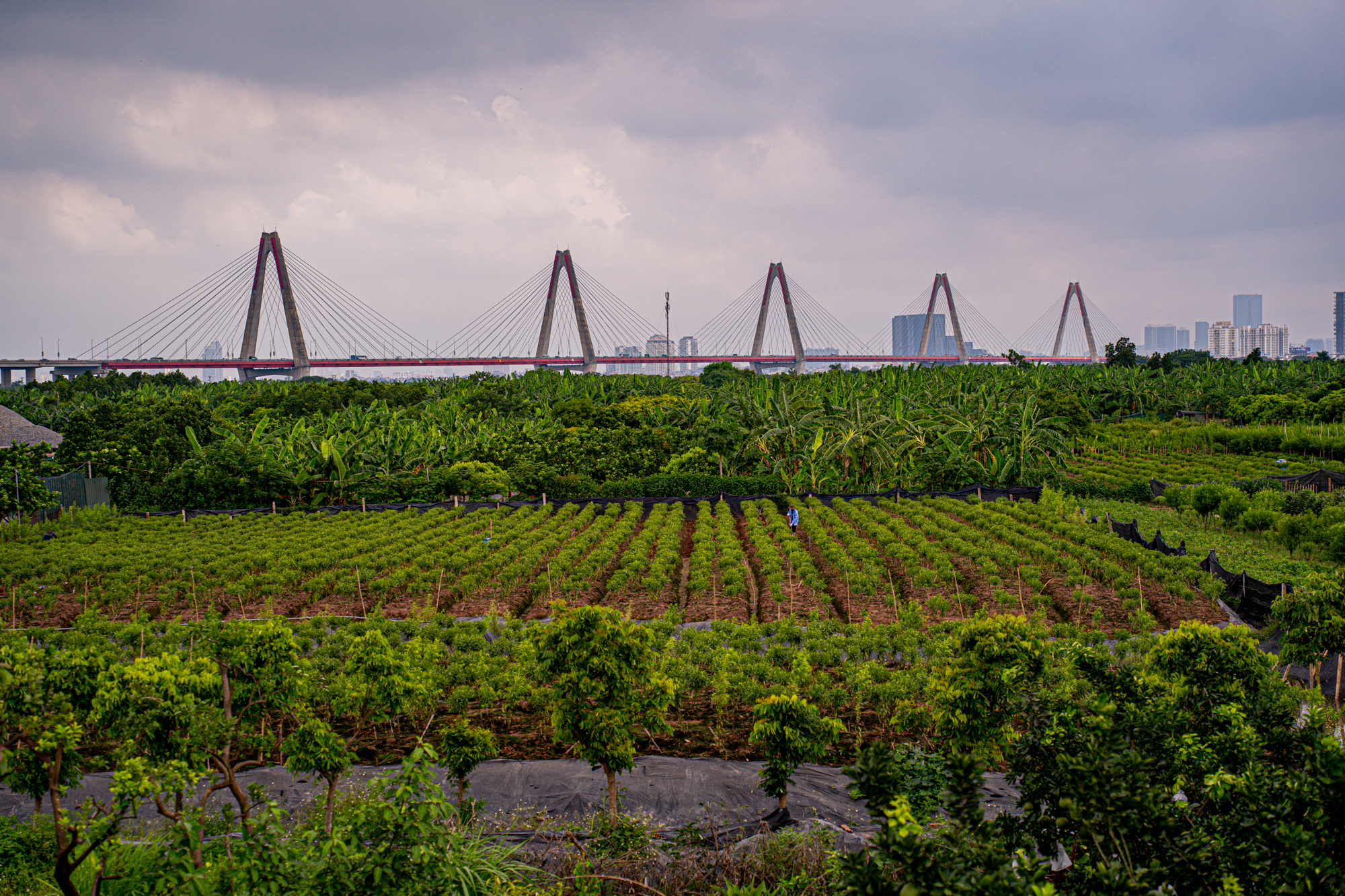 Khu vực cứ hơn 2km sẽ có một cây cầu cầu vượt sông, biến Đông Anh và Long Biên thành trung tâm kinh tế mới- Ảnh 8.