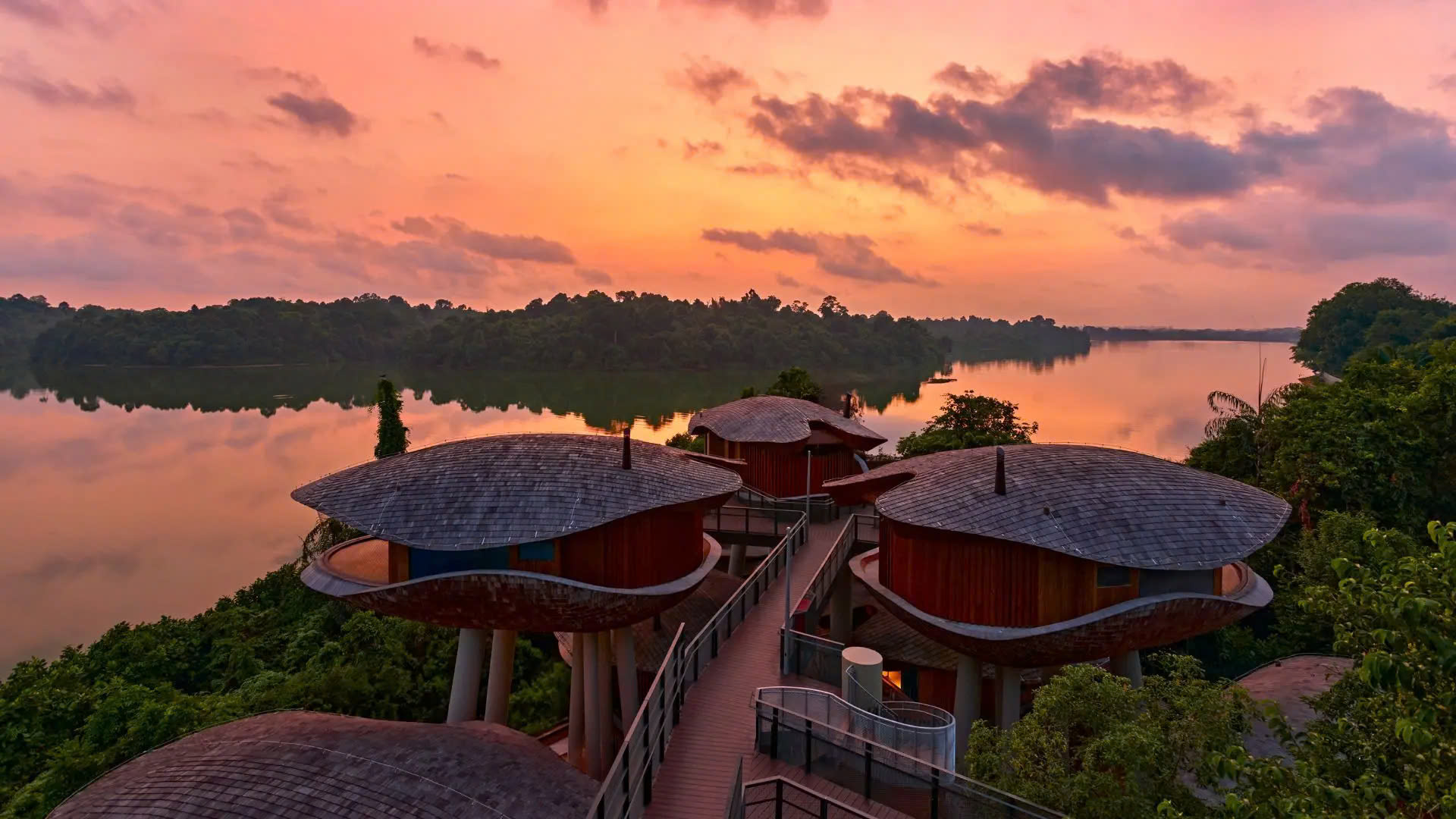 Cẩm nang du lịch Singapore cho người bận rộn, ít ngày nghỉ: Vừa check-in sang chảnh, vừa khám phá thiên nhiên hoang dã giữa lòng thành phố- Ảnh 7. Cẩm nang du lịch Singapore cho người bận rộn, ít ngày nghỉ: Vừa check-in sang chảnh, vừa khám phá thiên nhiên hoang dã giữa lòng thành phố- Ảnh 7.