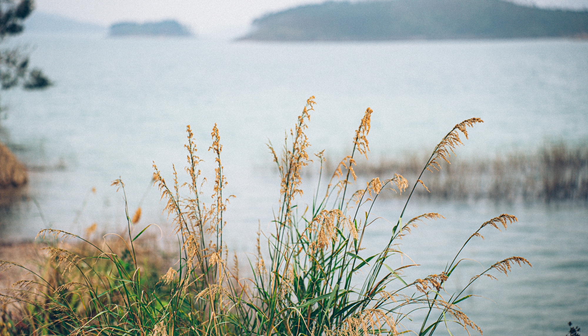 3.000 người 50 năm trước đào ra hồ nhân tạo lớn nhất Quảng Ninh, chôn theo kho báu trăm năm sau vẫn dùng tốt- Ảnh 11.