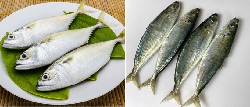 Loại cá “nhà nghèo” ngừa đột quỵ, cải thiện trí nhớ- Ảnh 2. Loại cá “nhà nghèo” ngừa đột quỵ, cải thiện trí nhớ- Ảnh 2.
