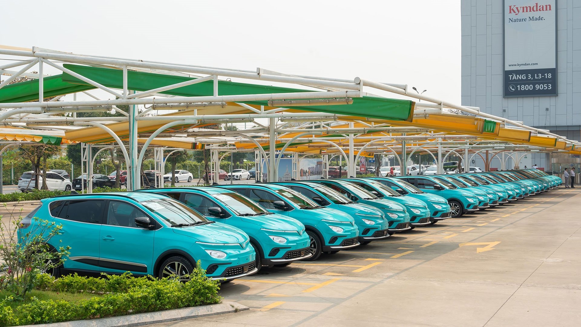 Hãng taxi truyền thống đầu tiên tại Việt Nam "sang trang" 100% xe điện VinFast: Không lột xác sẽ suy tàn- Ảnh 3.