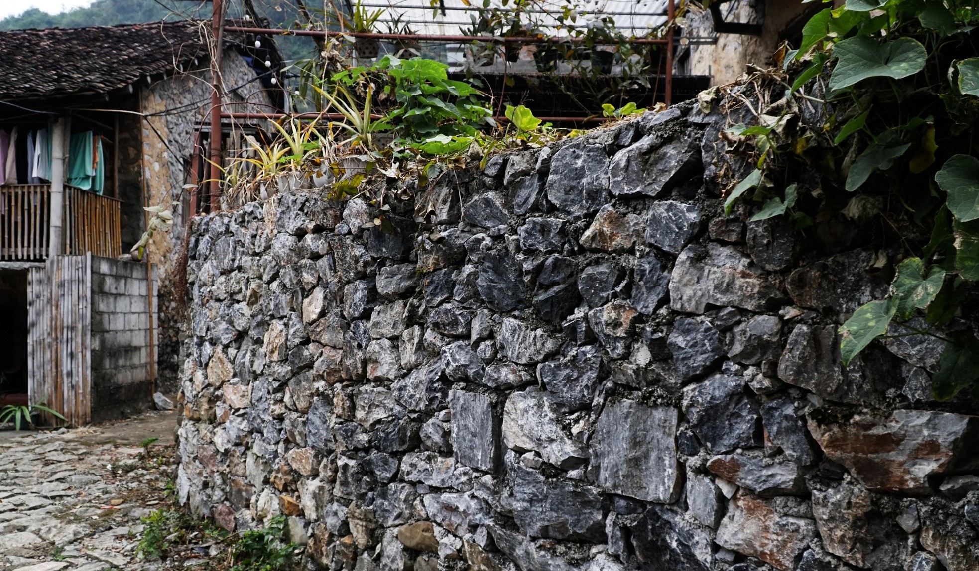 Vẻ bình yên 'làng đá nở hoa' trăm tuổi ở Cao Bằng- Ảnh 8.