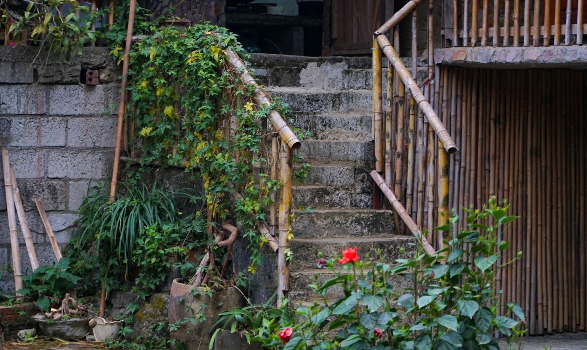 Vẻ bình yên 'làng đá nở hoa' trăm tuổi ở Cao Bằng- Ảnh 11.