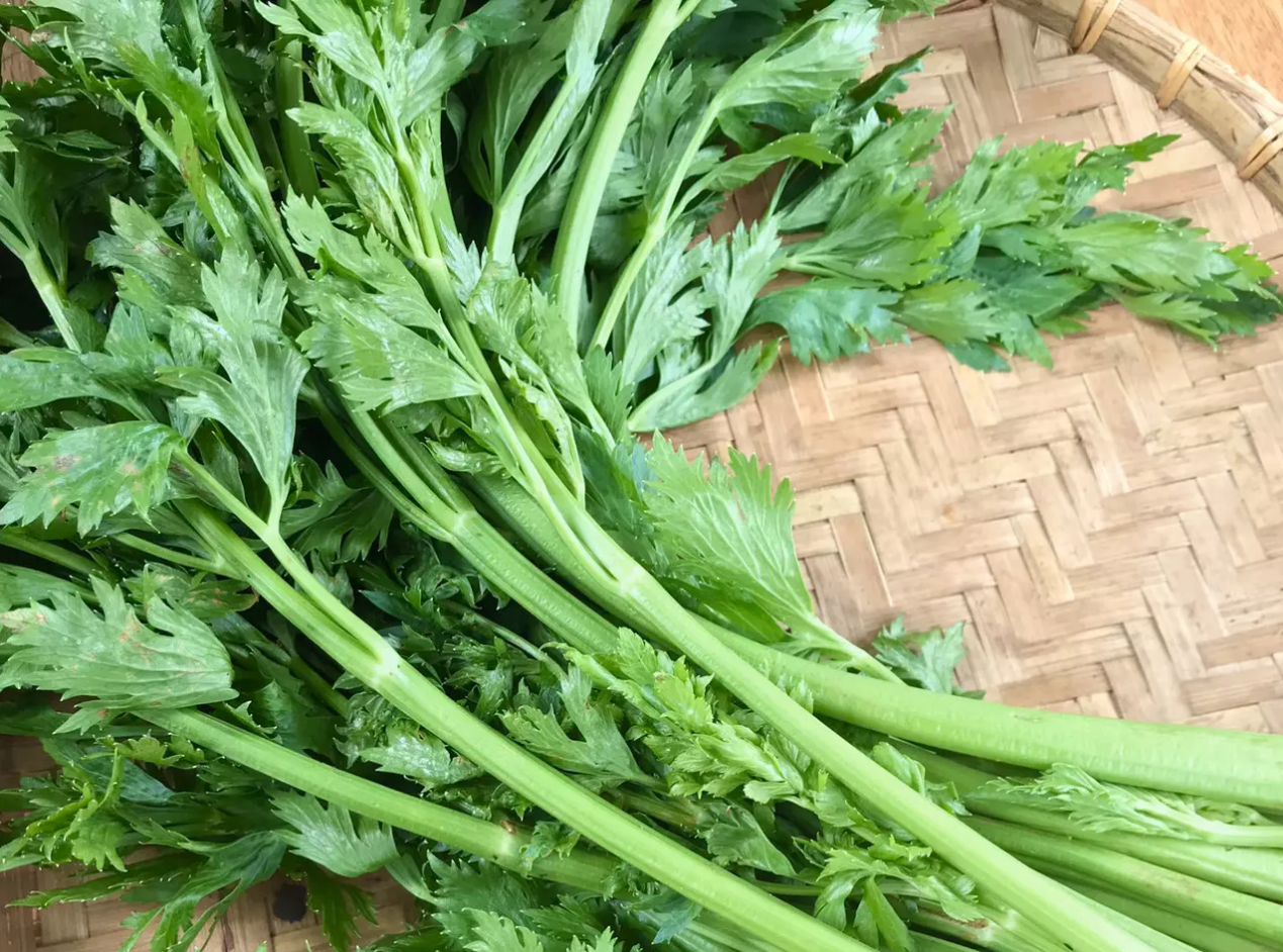 Thức uống 100% từ rau được mệnh danh như “tinh hoa trường thọ từ đất trời”, chống lão hóa nhưng ít ai thích do mùi hăng- Ảnh 2.