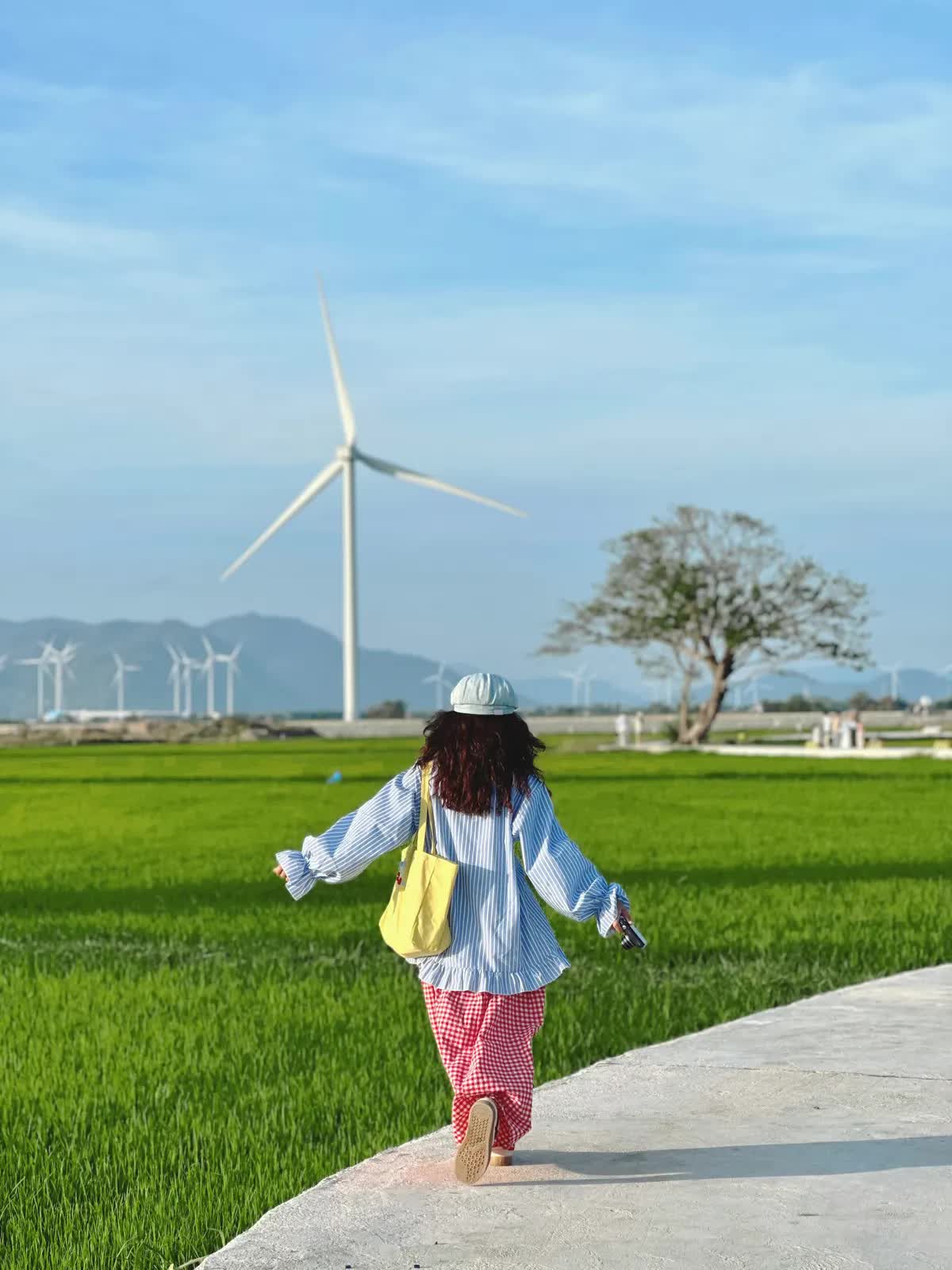 Cánh đồng điện gió ở Ninh Thuận có gì mà hút khách đến thế?- Ảnh 5. Cánh đồng điện gió ở Ninh Thuận có gì mà hút khách đến thế?- Ảnh 5.