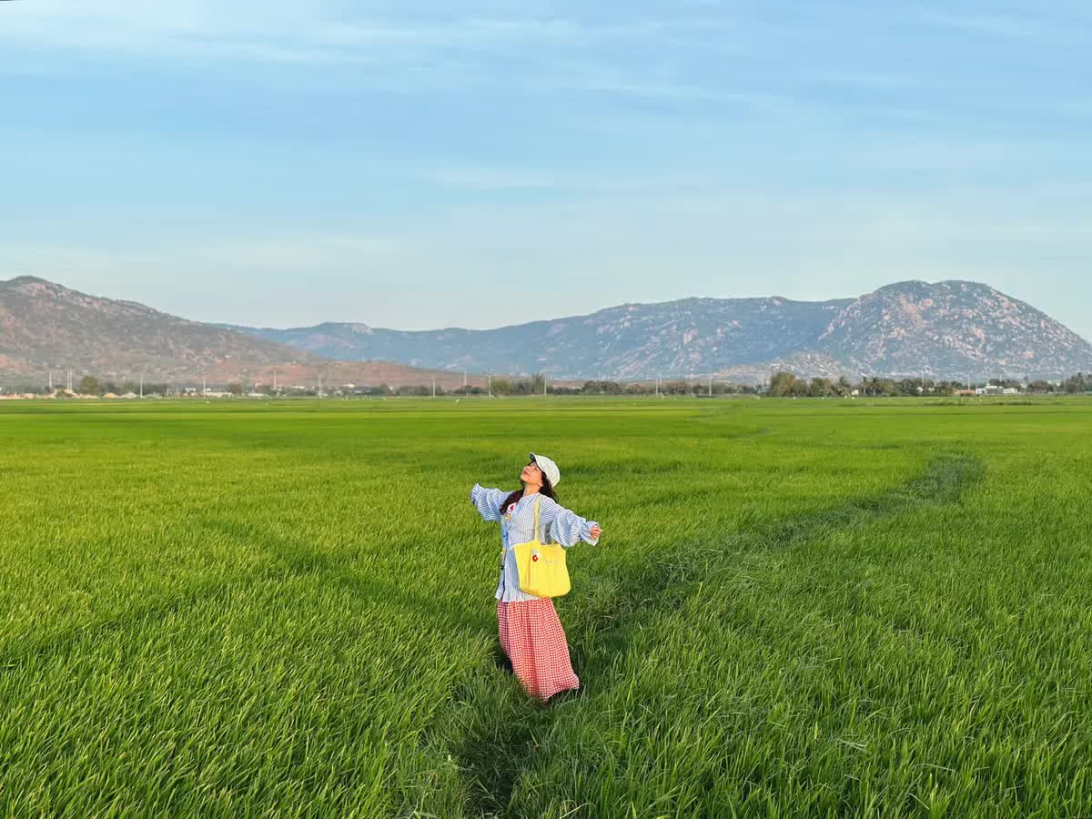 Cánh đồng điện gió ở Ninh Thuận có gì mà hút khách đến thế?- Ảnh 6. Cánh đồng điện gió ở Ninh Thuận có gì mà hút khách đến thế?- Ảnh 6.