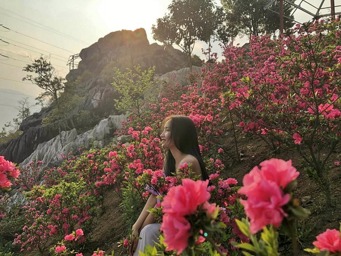 ‘Nữ hoàng Tây Bắc’ đã vào mùa nở rộ: Ở đâu, thời điểm nào, cần chuẩn bị gì để ‘săn đỗ quyên’ thành công?- Ảnh 6. ‘Nữ hoàng Tây Bắc’ đã vào mùa nở rộ: Ở đâu, thời điểm nào, cần chuẩn bị gì để ‘săn đỗ quyên’ thành công?- Ảnh 6.