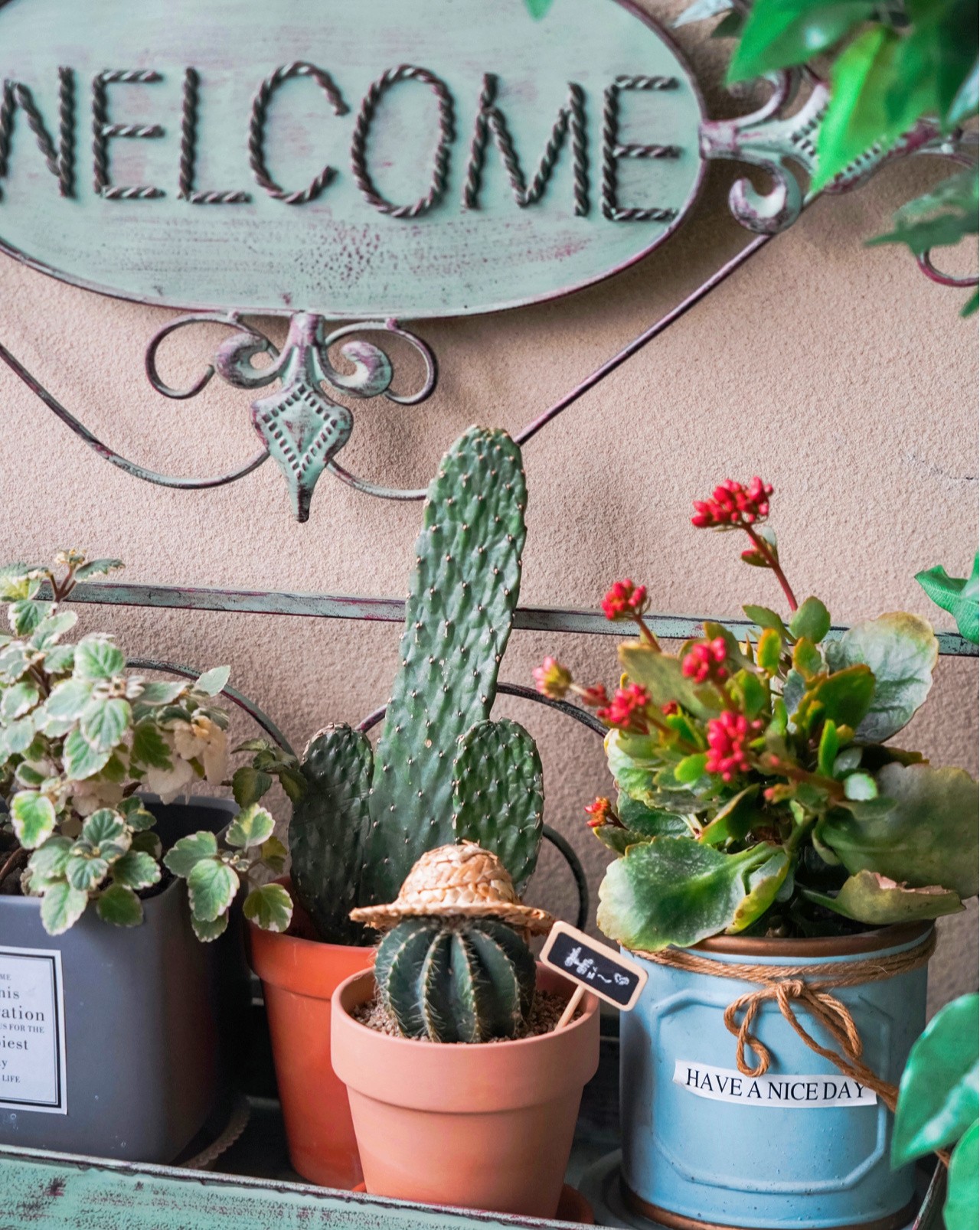 Sau khi cải tạo ban công 5m² thành khu vườn thư giãn, tôi hạnh phúc đến mức không muốn rời nhà đi đâu nữa!- Ảnh 9. Sau khi cải tạo ban công 5m² thành khu vườn thư giãn, tôi hạnh phúc đến mức không muốn rời nhà đi đâu nữa!- Ảnh 9.